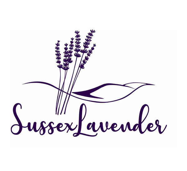 Sussex Lavender