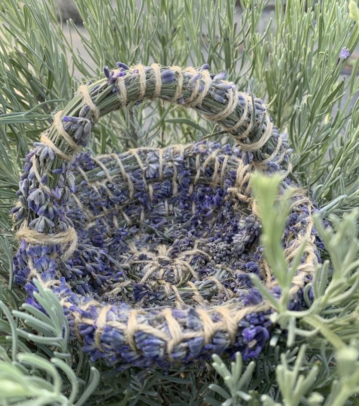 Woven lavender basket in the field