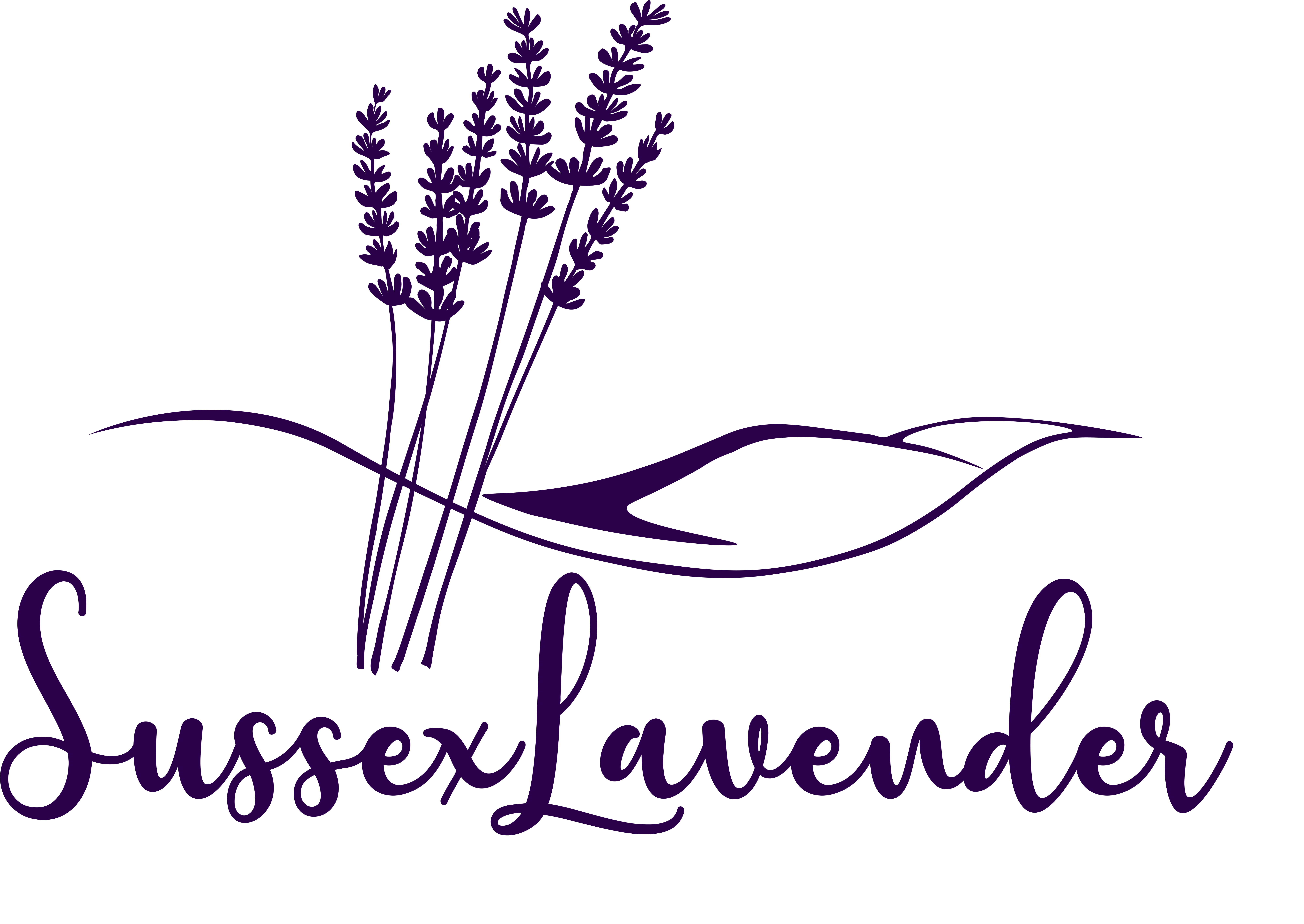 Sussex Lavender
