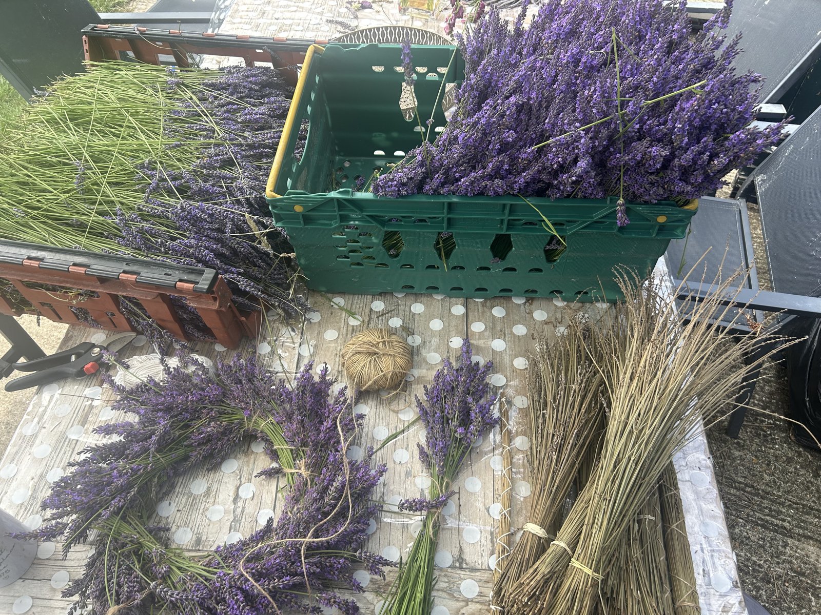 Lavender craft kit materials laid out - fresh stems, twine, tools and a wreath in progress